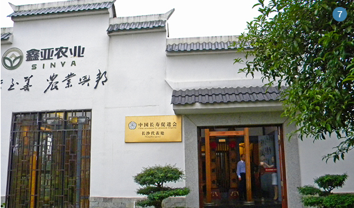 7. Visited an Amway business center in Wuhan